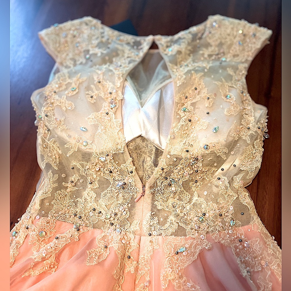 Sexy gown sophisticated handmade Italian lace and silk maxi Tony Bowls dress - Picture 15 of 16